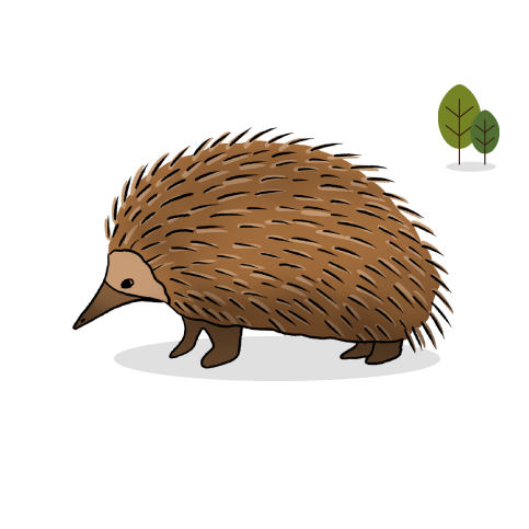 Illustrated image of echidna