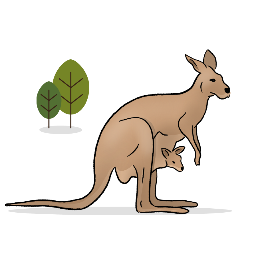 Illustrated image of kangaroo