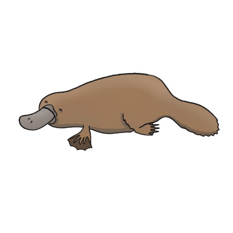 Illustrated image of platypus